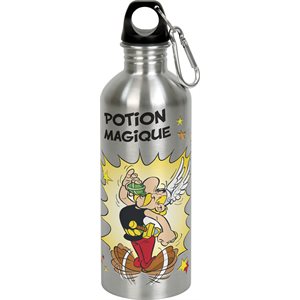 Asterix Thermal bottle