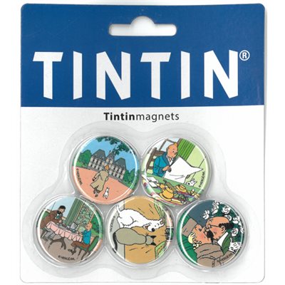 5 Magnets - Tintin