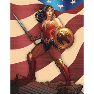 Enseigne metal Wonder Woman drapeau am.